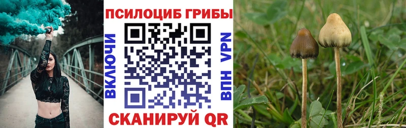 Псилоцибиновые грибы MAGIC MUSHROOMS  Клинцы 